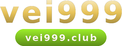 vei999 logo